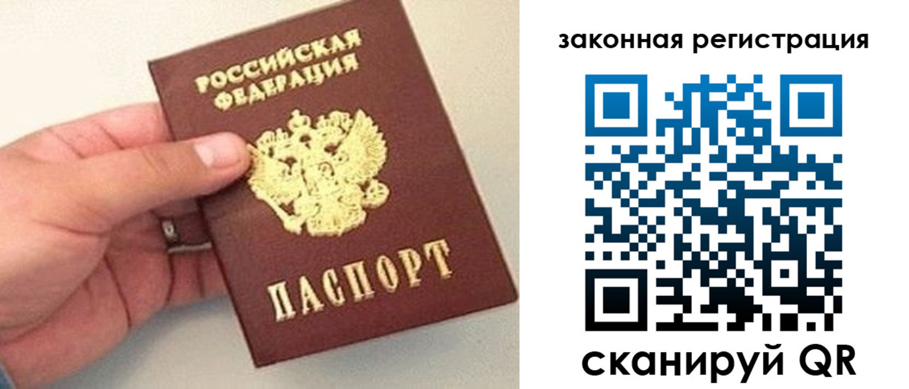 прописка для школы в Светлом